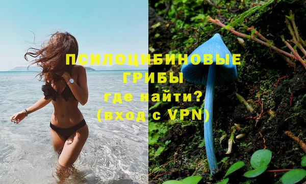альфа пвп Нязепетровск