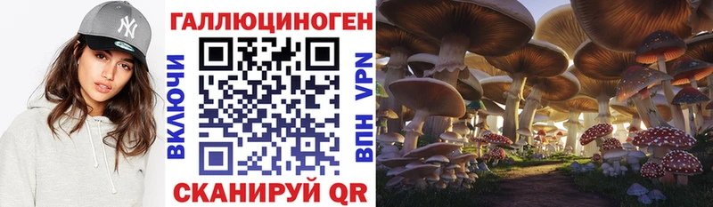 Псилоцибиновые грибы GOLDEN TEACHER  shop состав  Полярный  где продают  